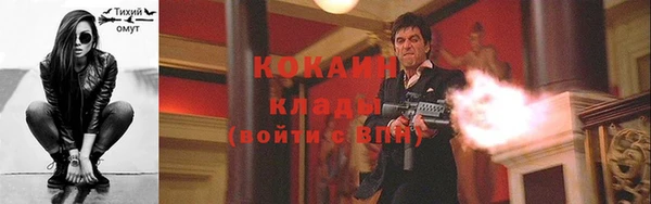 спайс Алзамай